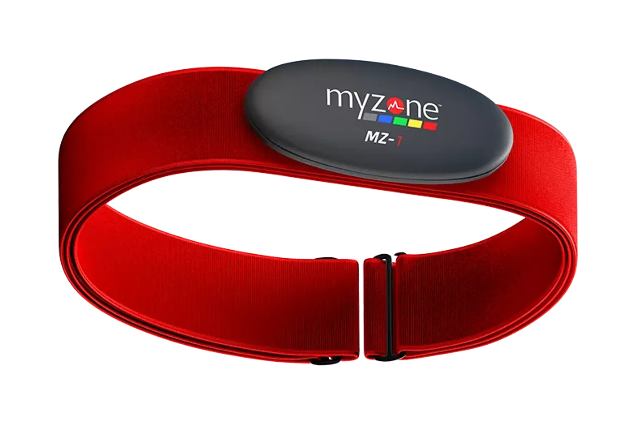 MZ 1