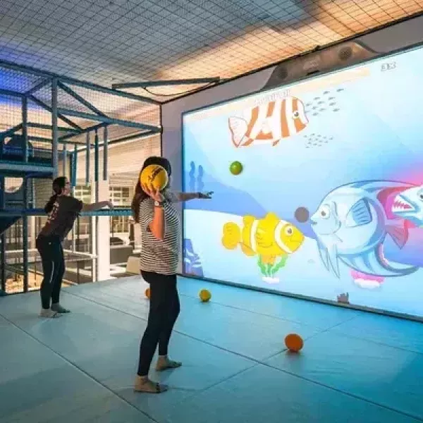 Swiss holiday park multiball